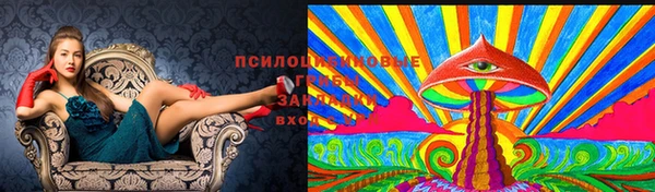 jwh Алзамай
