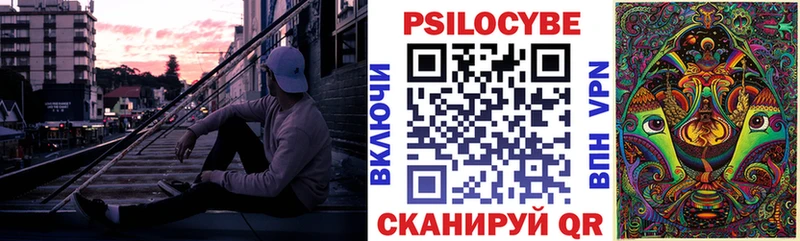 Купить закладки  Мамадыш  Галлюциногенные грибы мицелий 